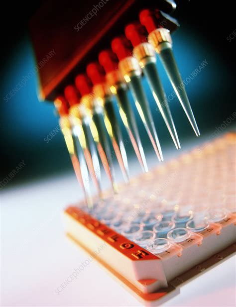 ELISA blood test .